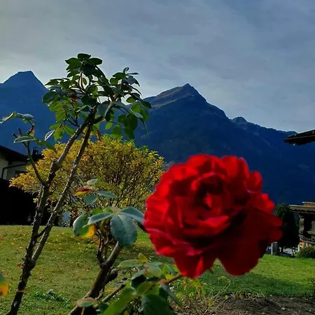 Loretz Liane Sankt Gallenkirch
