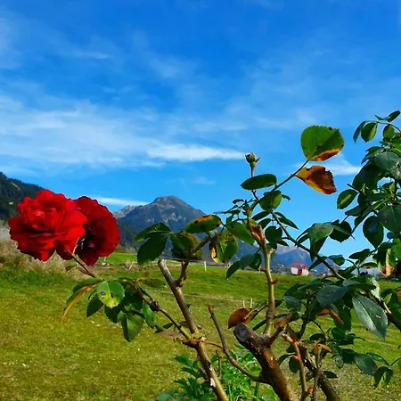 Loretz Liane Apartmán