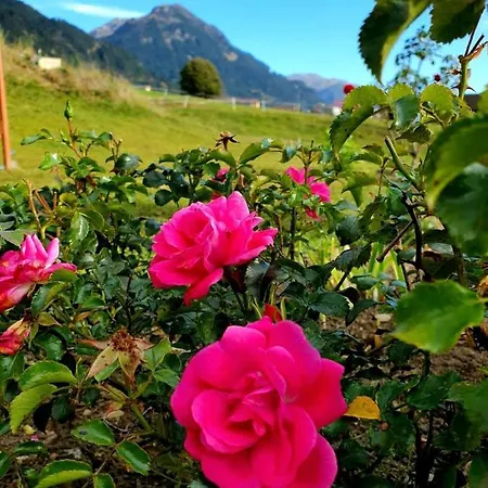 Apartmán Loretz Liane Sankt Gallenkirch