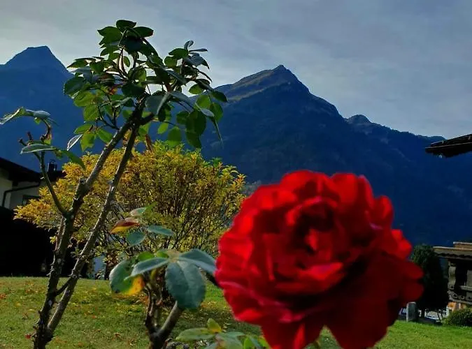 Loretz Liane Sankt Gallenkirch