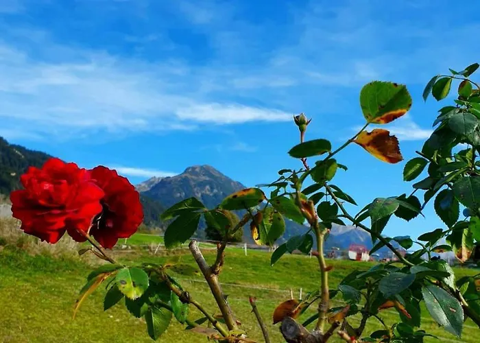 Loretz Liane Appartement