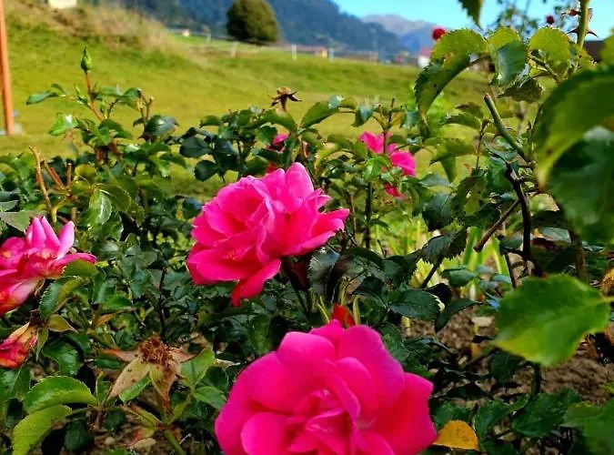 Appartement Loretz Liane Sankt Gallenkirch